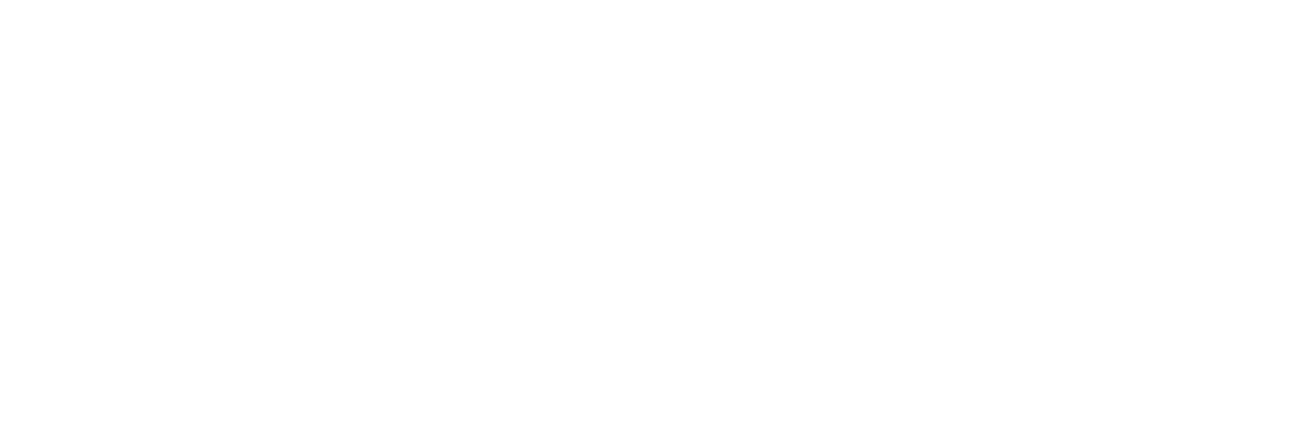 Meta Business Partner
