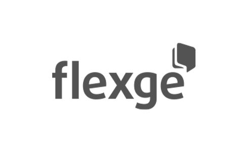 logo-flexge